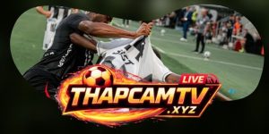 Dự Đoán Trận Besiktas JK Vs Hradec Kralove 00h00 14/08
